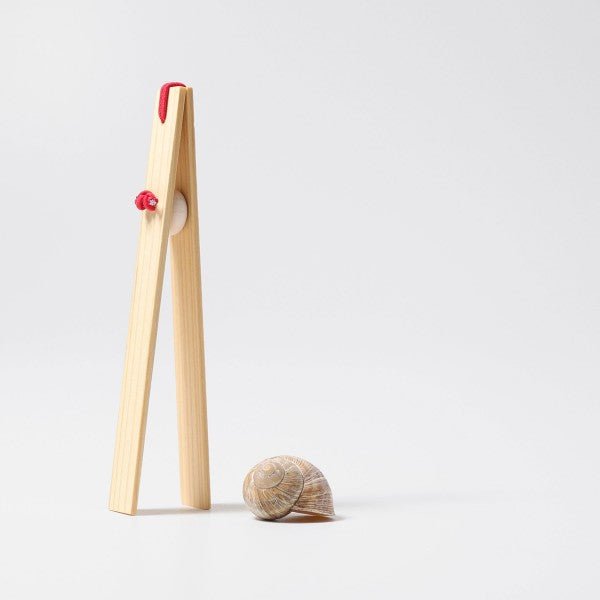 Wooden tweezers with a red elastic on a white background