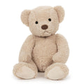 Beige teddy bear on a white background