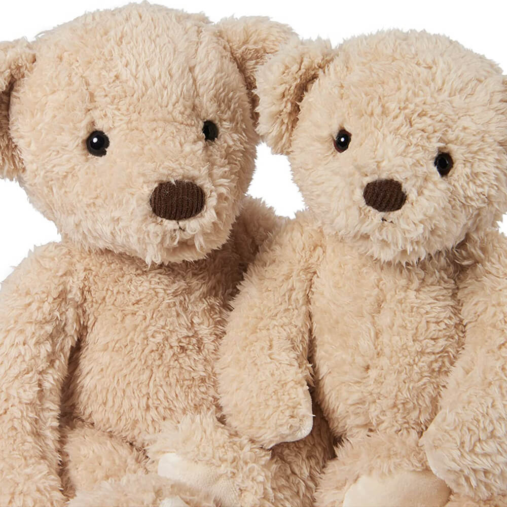 Two beige teddy bears sitting close together on a white background