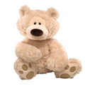 Plush teddy bear on a white background