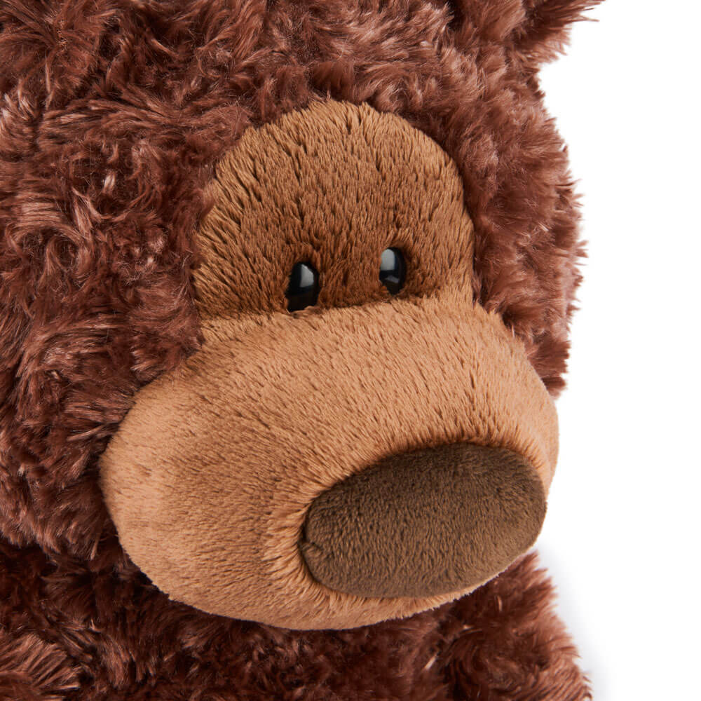 Close-up of a brown teddy bear's face on a white background
