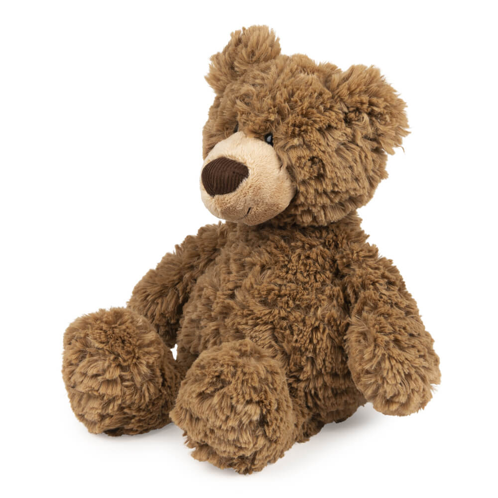 Brown teddy bear on a white background