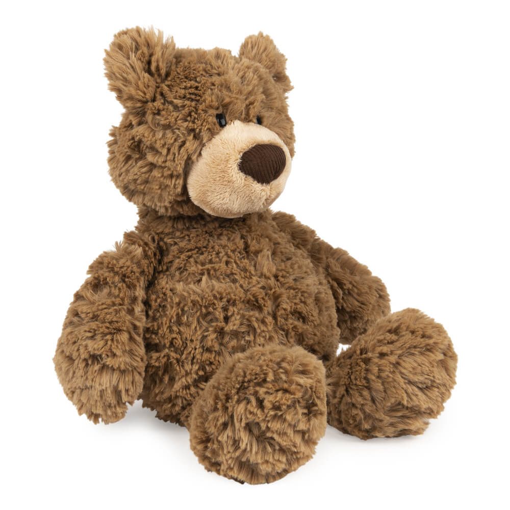 Brown teddy bear on a white background