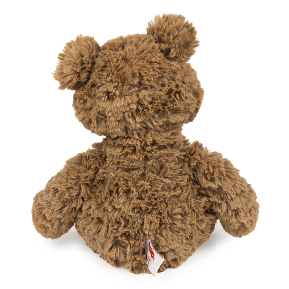 Brown teddy bear on a white background