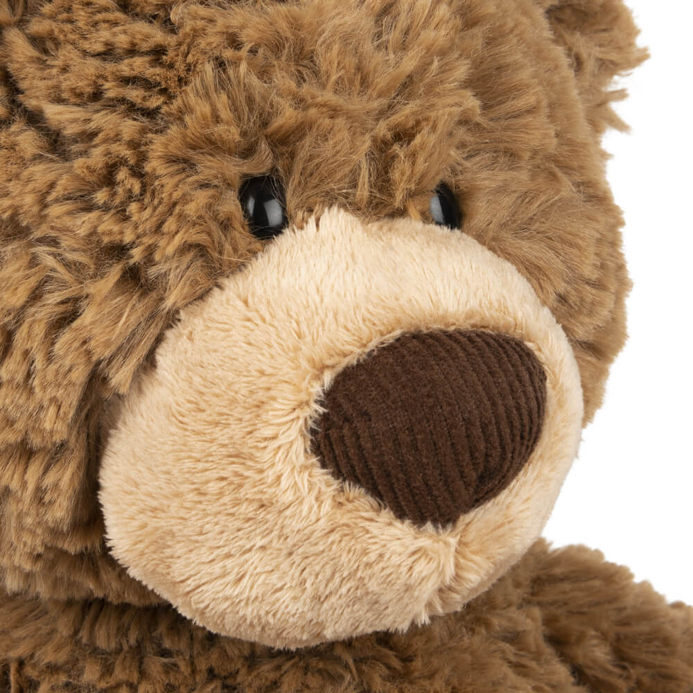 Close-up of a brown teddy bear's face with a white background