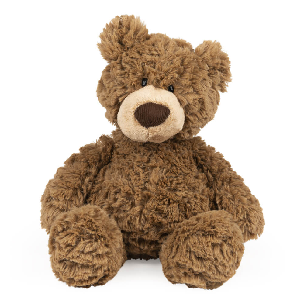 Brown teddy bear on a white background
