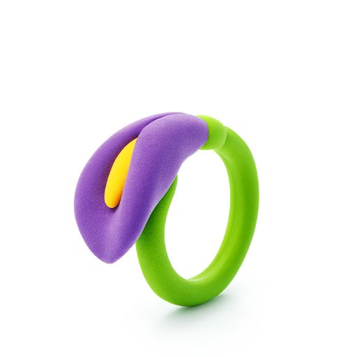 Green and purple ring with a yellow center on a white background