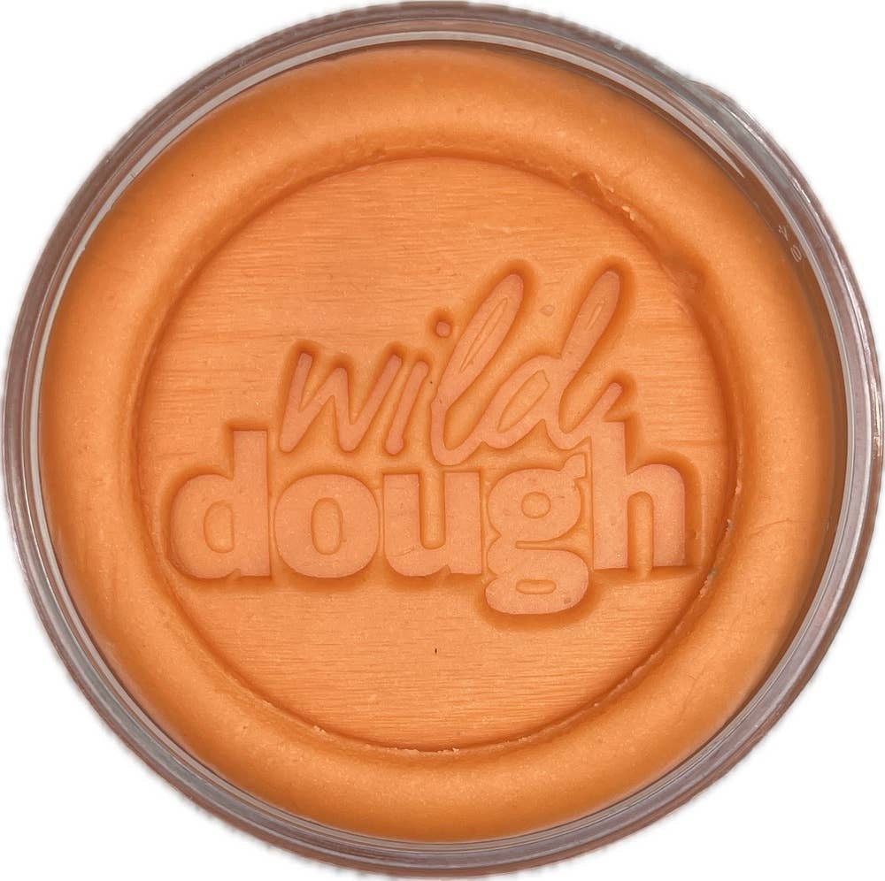 Wild Dough | Brights Playdough