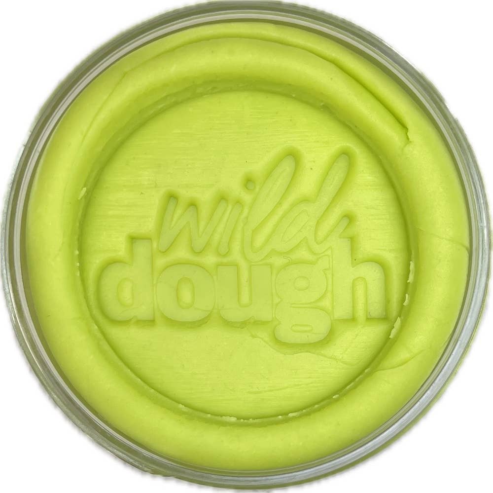 Wild Dough | Brights Playdough