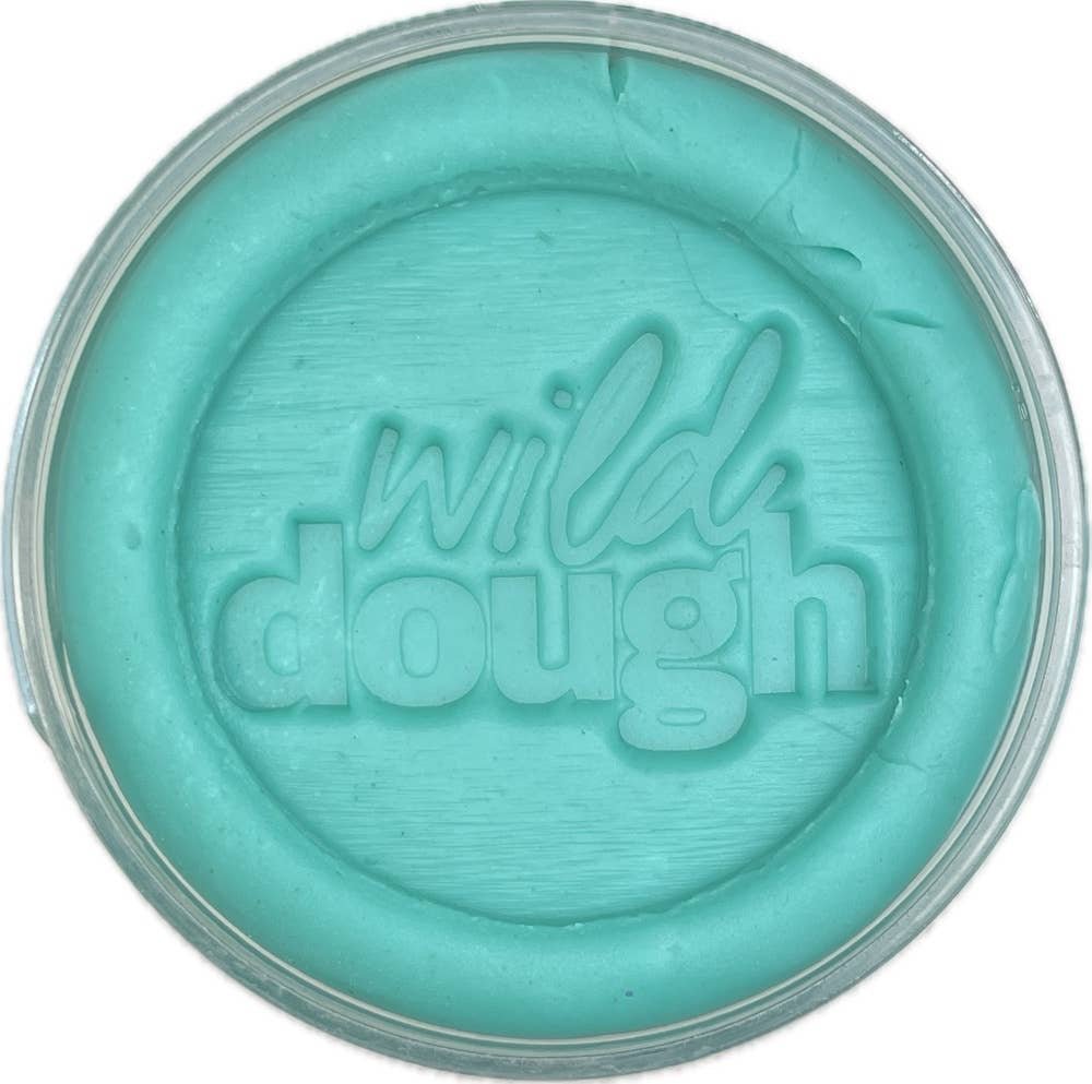 Wild Dough | Brights Playdough