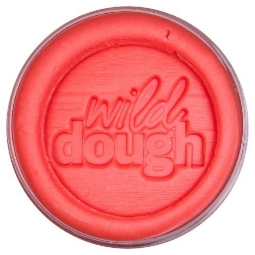 Wild Dough | Brights Playdough