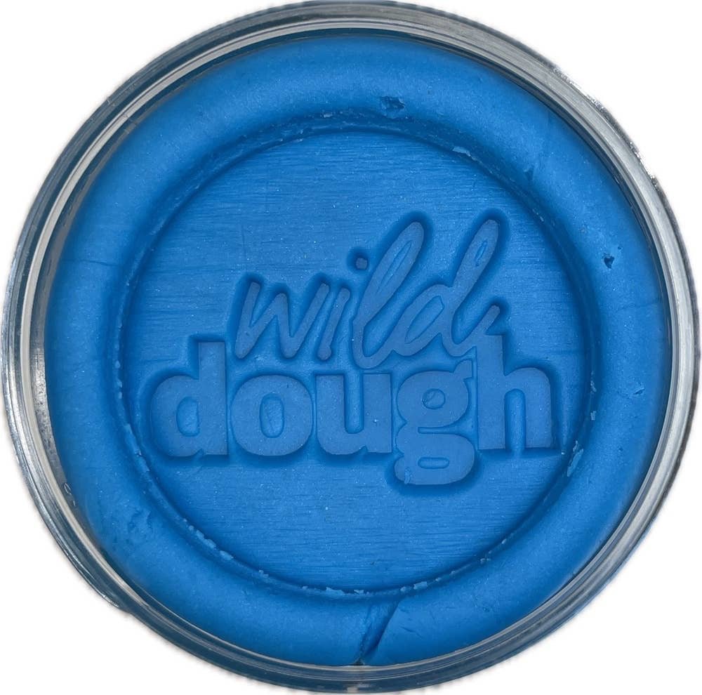 Wild Dough | Brights Playdough