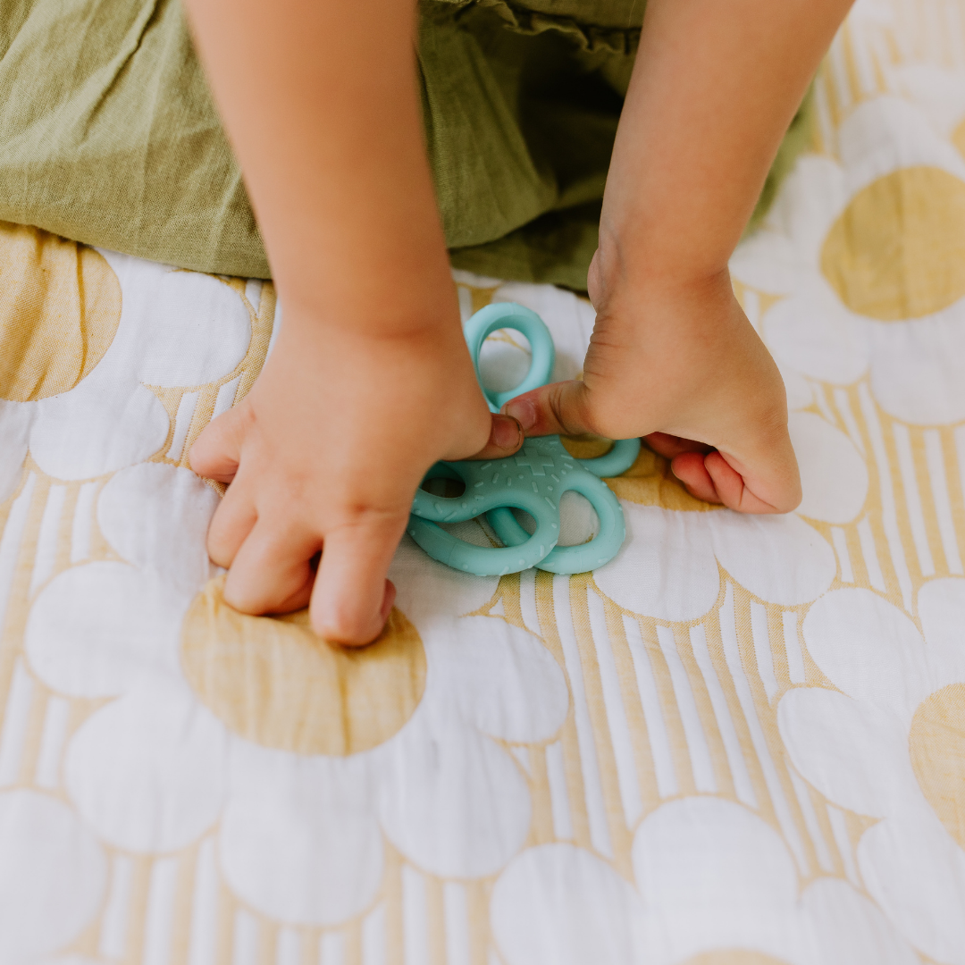 Jellystone Designs - 2 Pack Sensory Ball