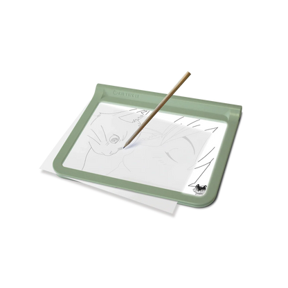 Transparent drawing board with a pen and a printed outline of a cat on a white background