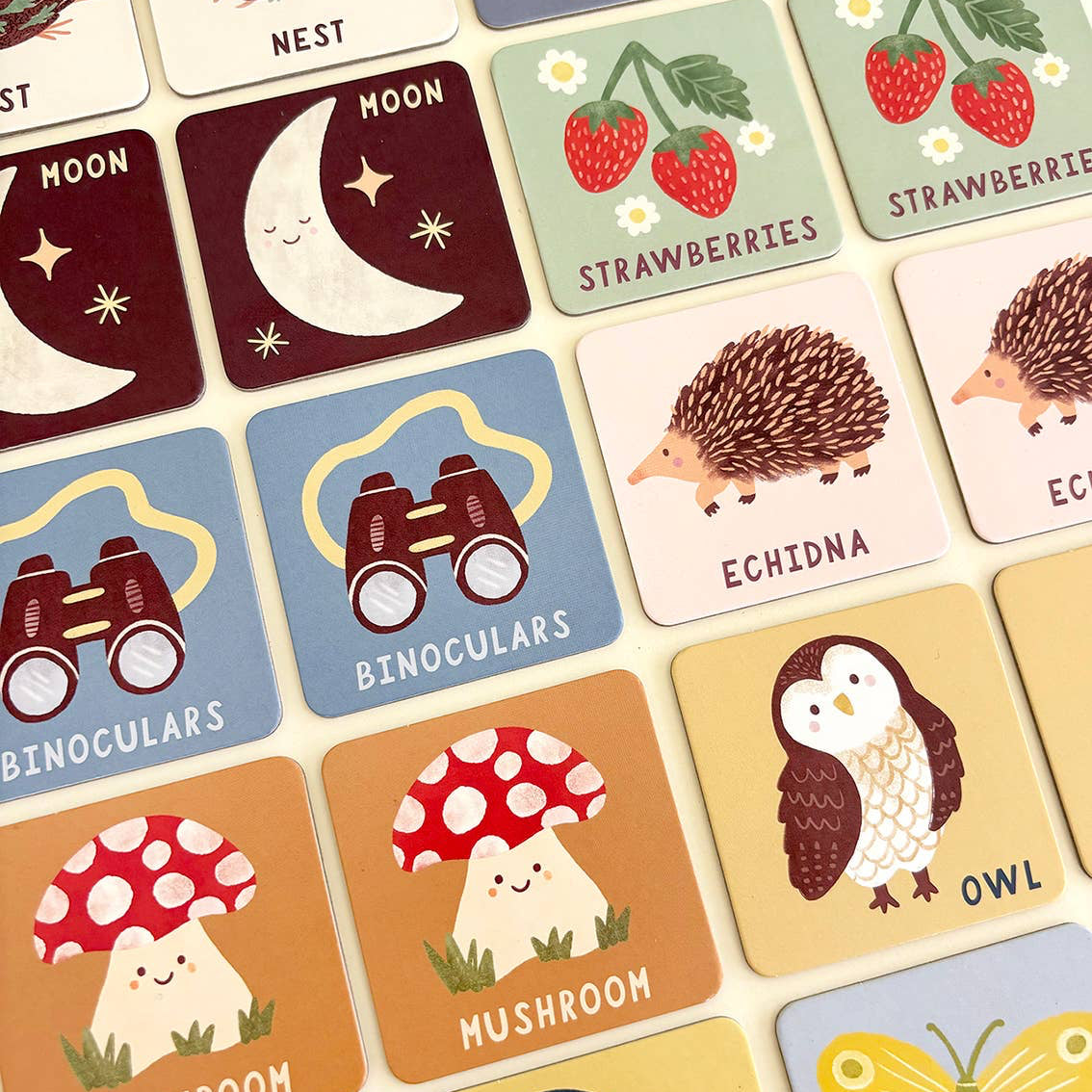 Collection of educational cards with various illustrations and text on a beige background