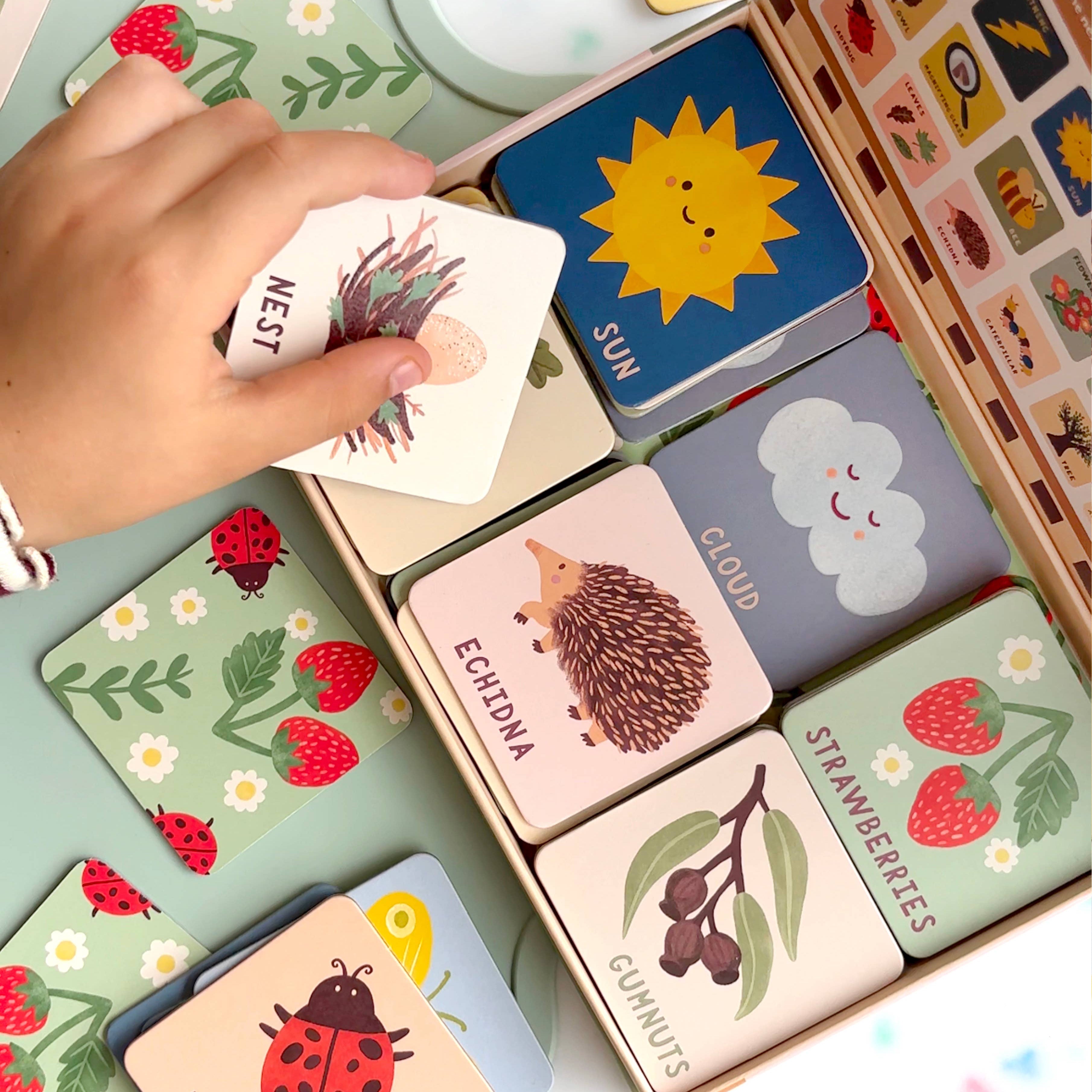 Children's educational card game with colorful cards featuring animals and nature.
