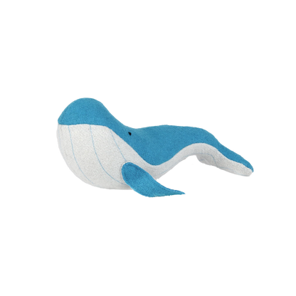 Whale toy on white background