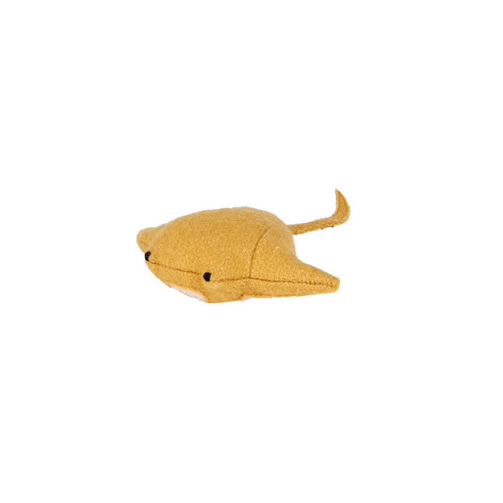 Yellow stingray on a white background