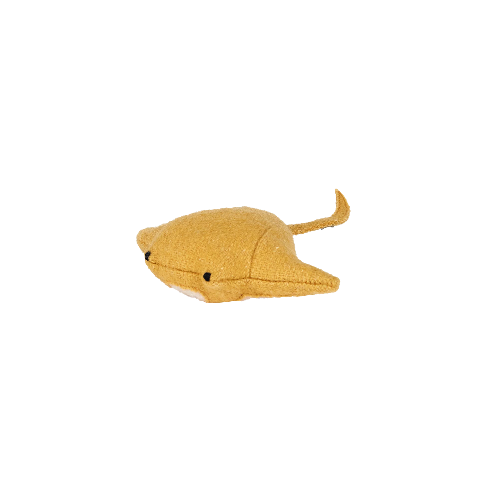 Yellow stingray on a white background