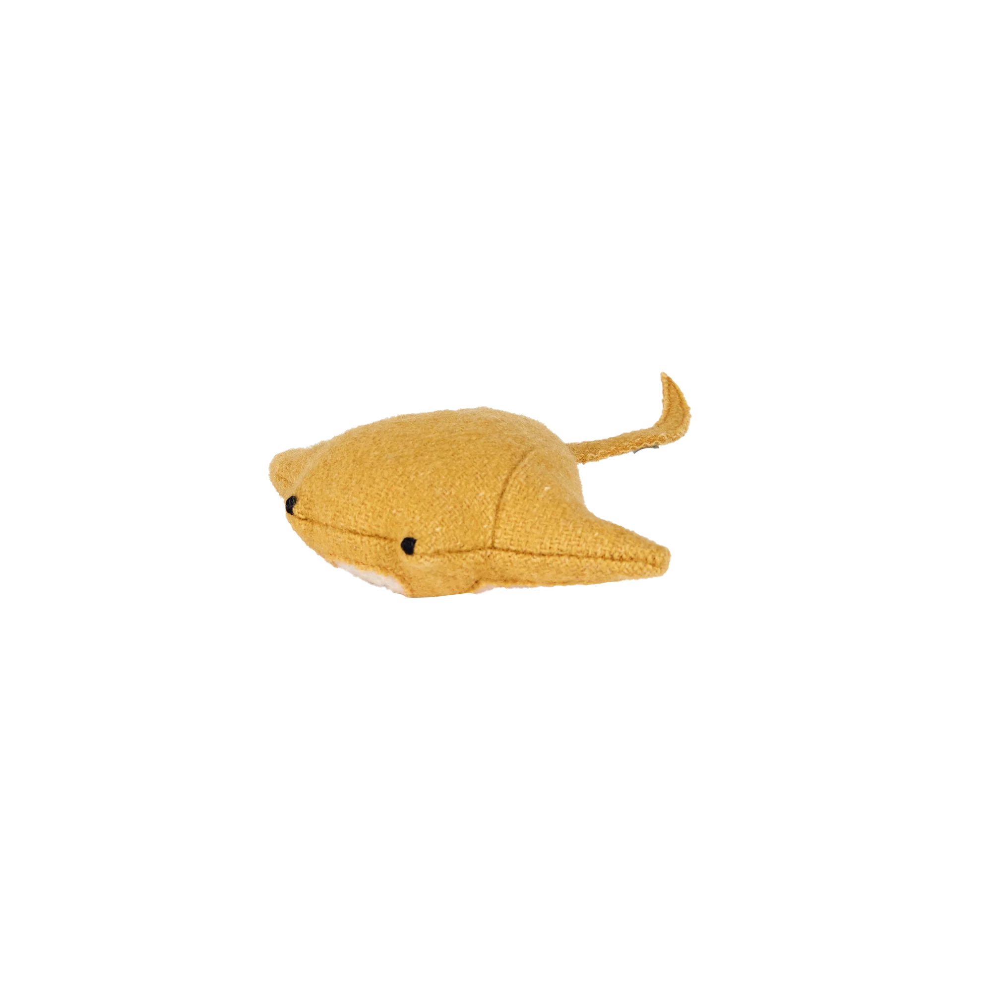 Yellow stingray on a white background