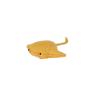 Yellow stingray on a white background