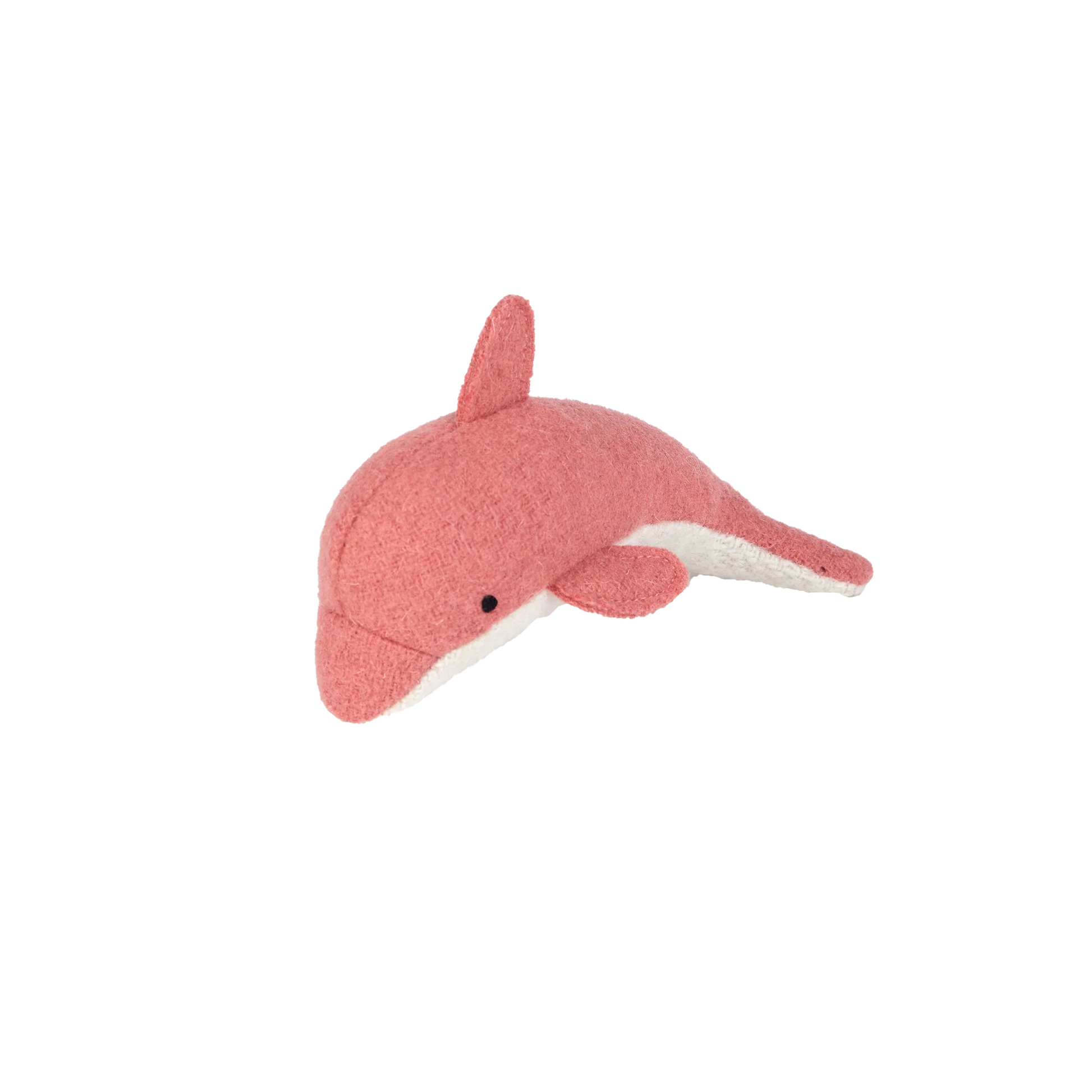 Pink dolphin on a white background