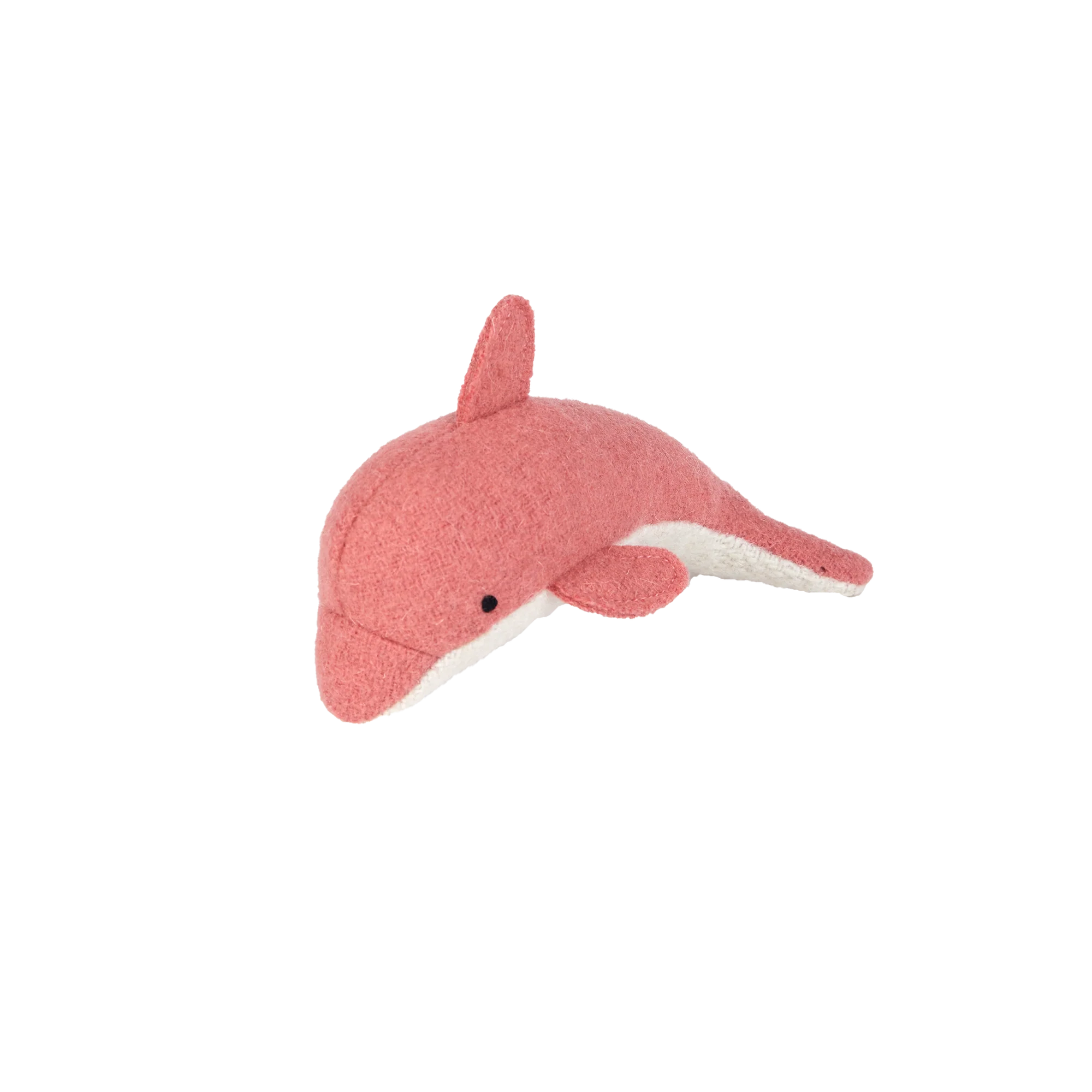 Pink dolphin on a white background