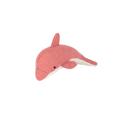 Pink dolphin on a white background