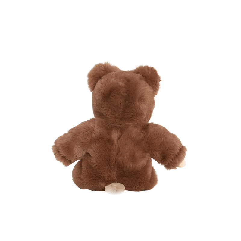 Brown teddy bear on a white background