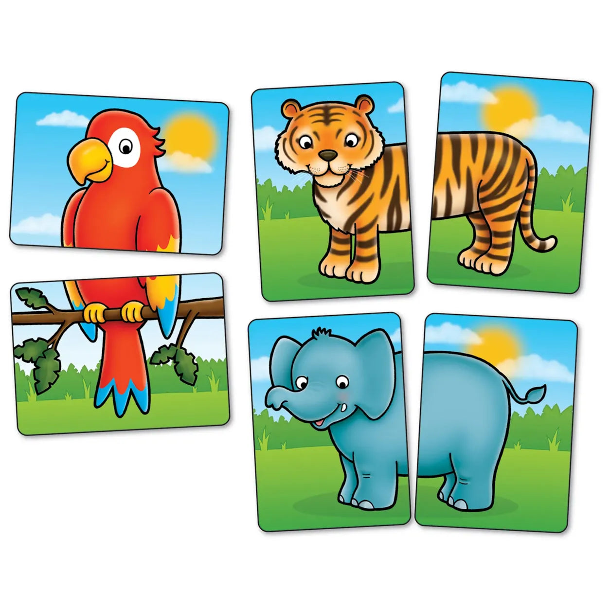 Set of animal cards featuring a parrot, tiger, and elephant on colorful backgrounds.