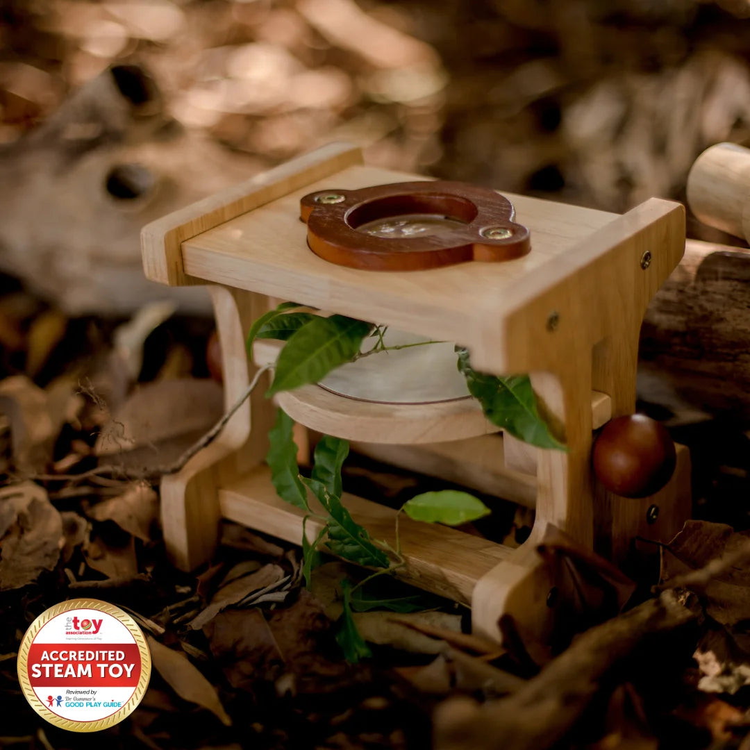Wooden toy with a compass on a background of leaves and natural elements.