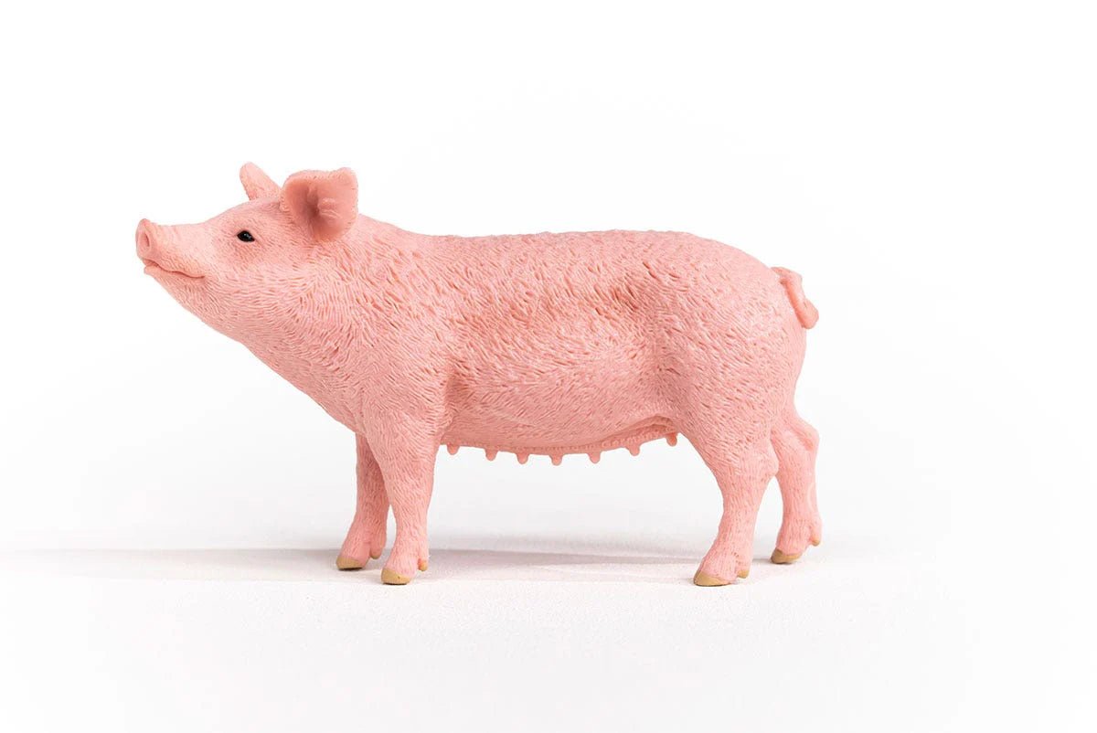 Pink pig figurine on a white background