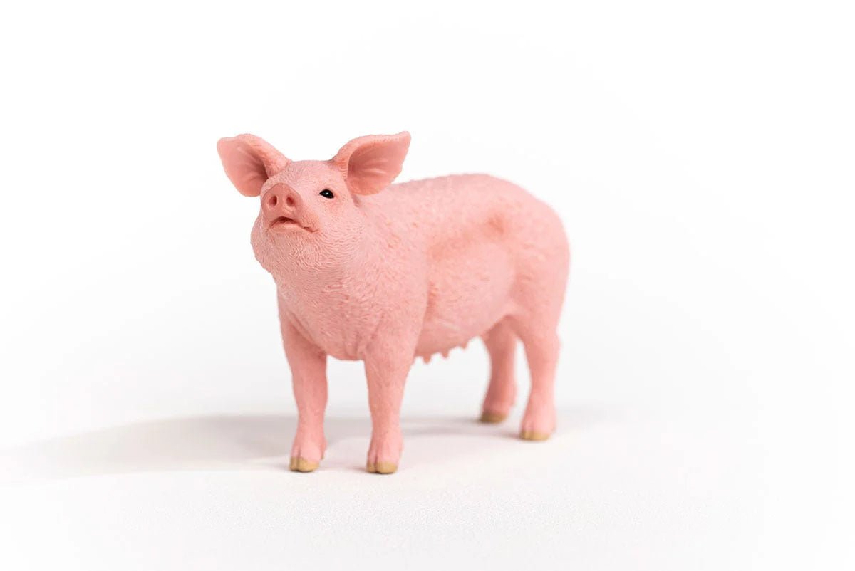 Pink pig figurine on a white background
