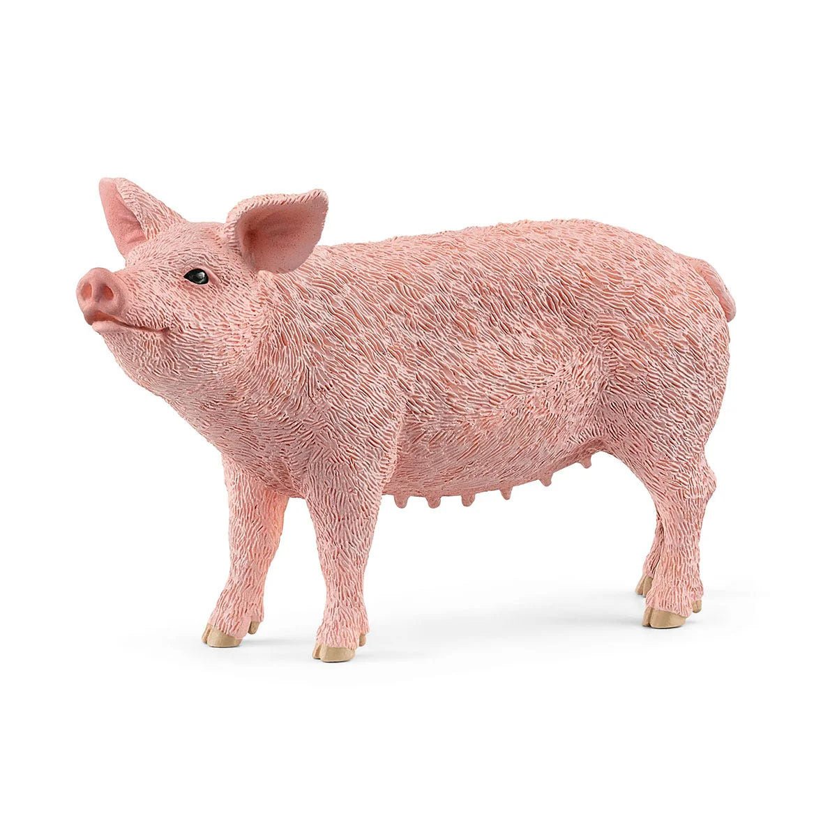 Pink pig figurine on a white background