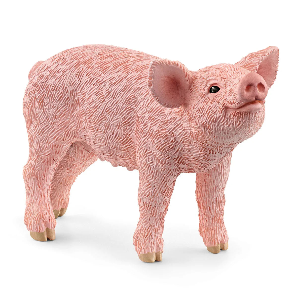Schleich 13934 Piglet on white background