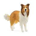 Collie dog figurine on a white background