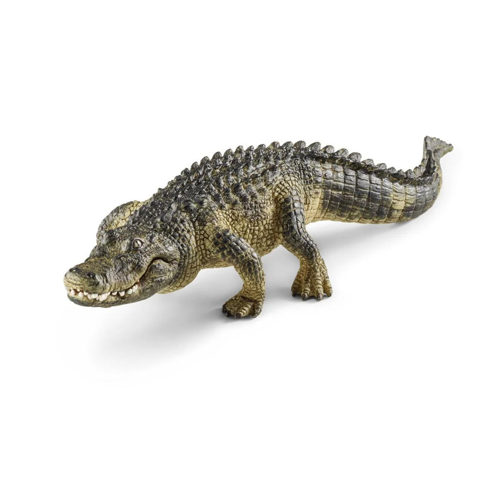 Toy alligator on a white background