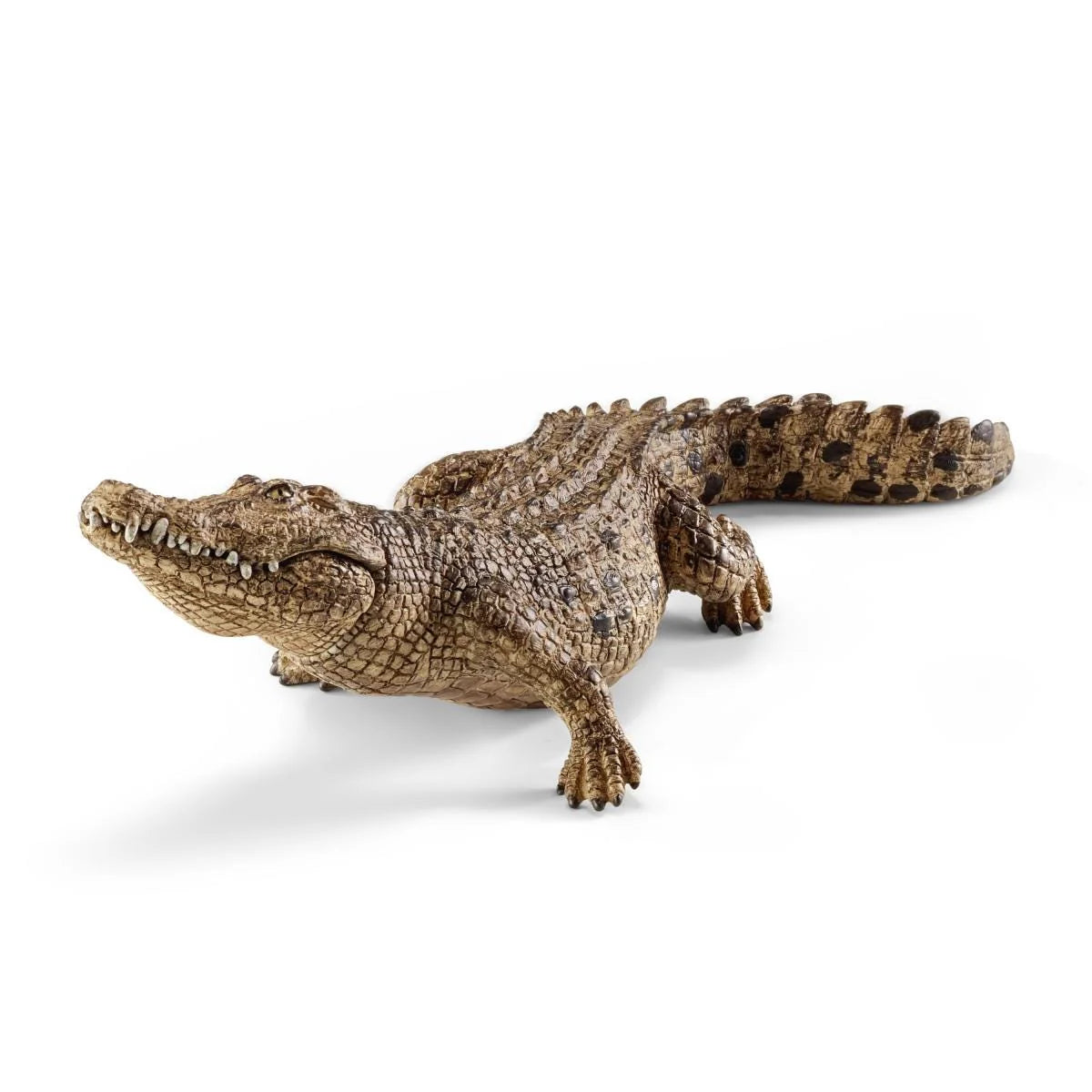 Toy crocodile on a white background