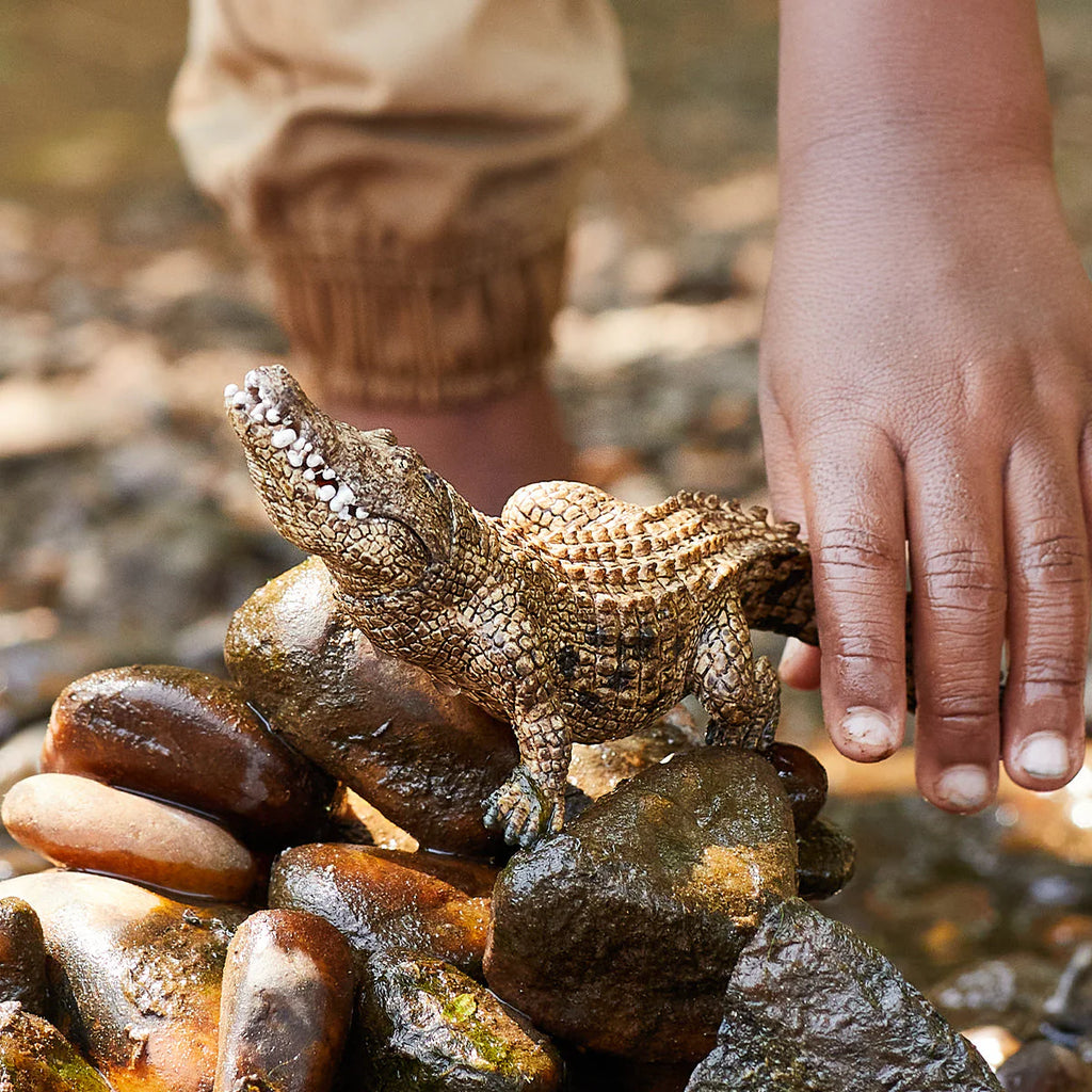 Toy crocodile on rocks with a child's hand reaching towards it