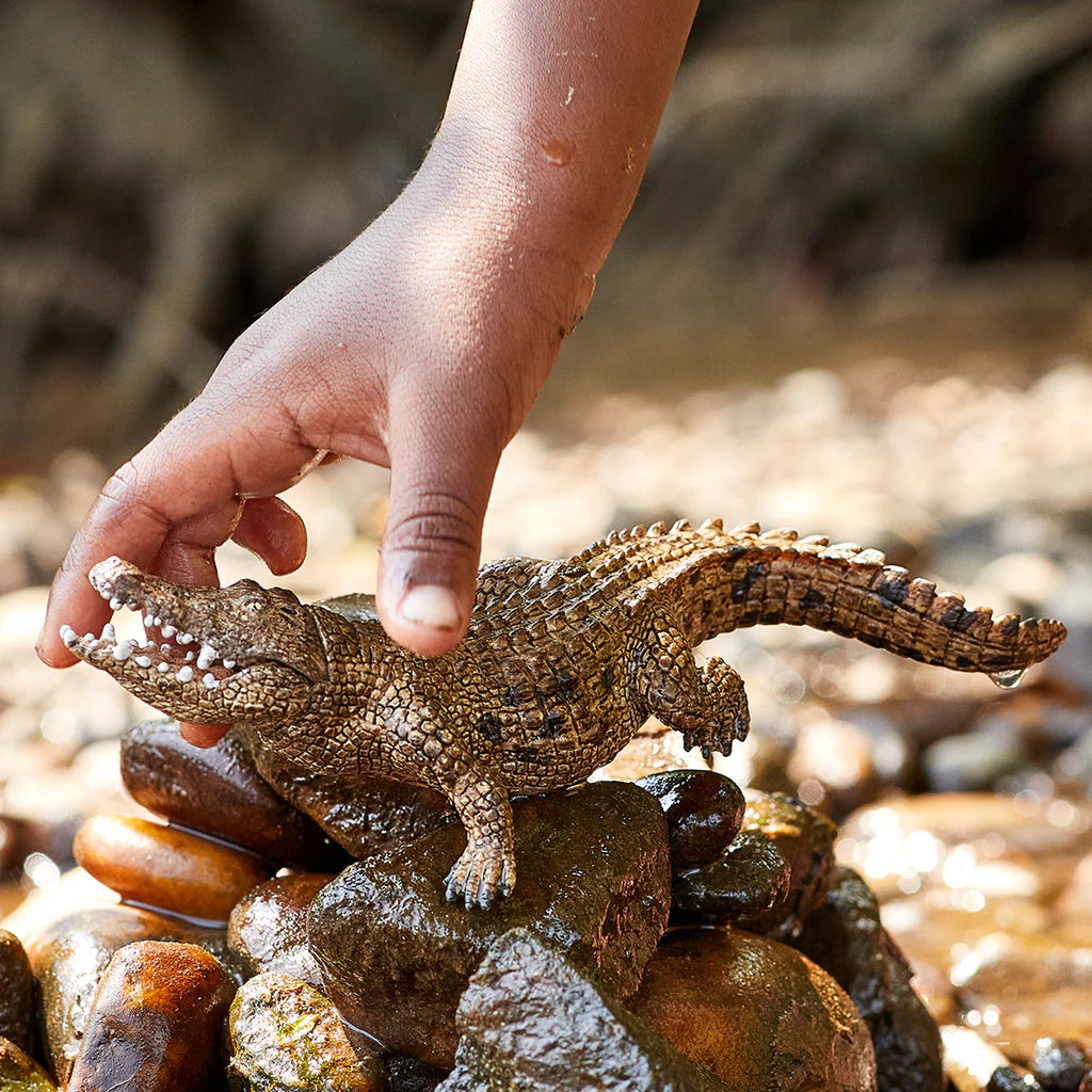 Hand interacting with a small crocodile figurine on rocks