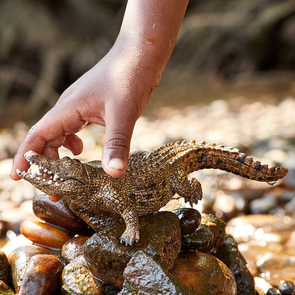 Hand interacting with a small crocodile figurine on rocks
