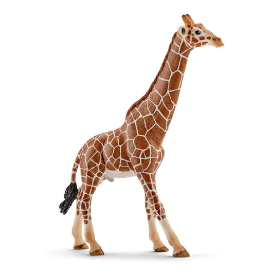 Giraffe toy figure on a white background