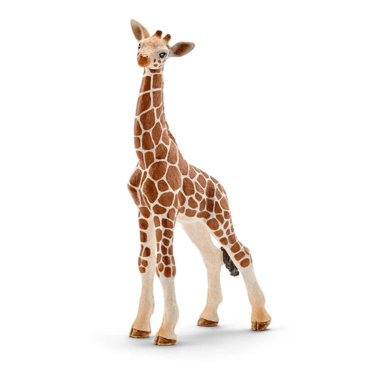 Giraffe toy figure on a white background