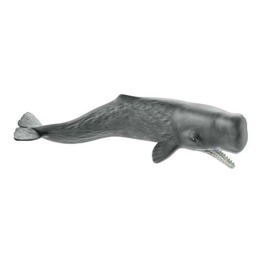 Gray whale model on a white background