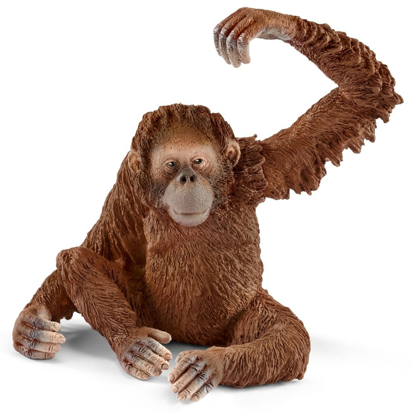 Toy orangutan sitting on a white background