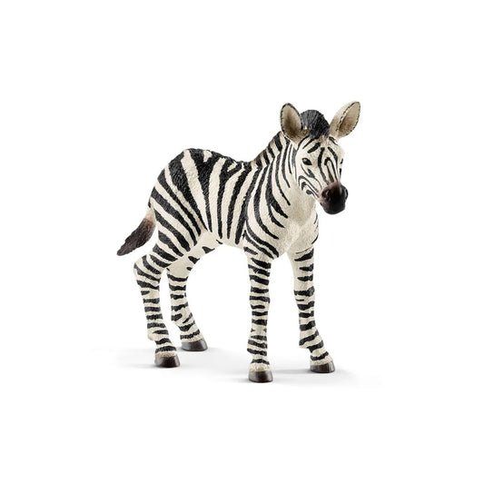 Zebra figurine on a white background