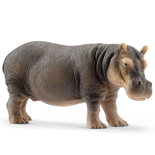 Hippopotamus figurine on a white background