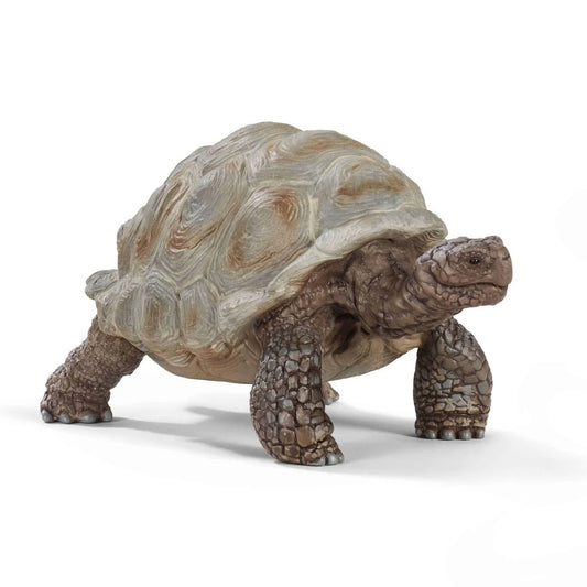 Model of a tortoise on a white background