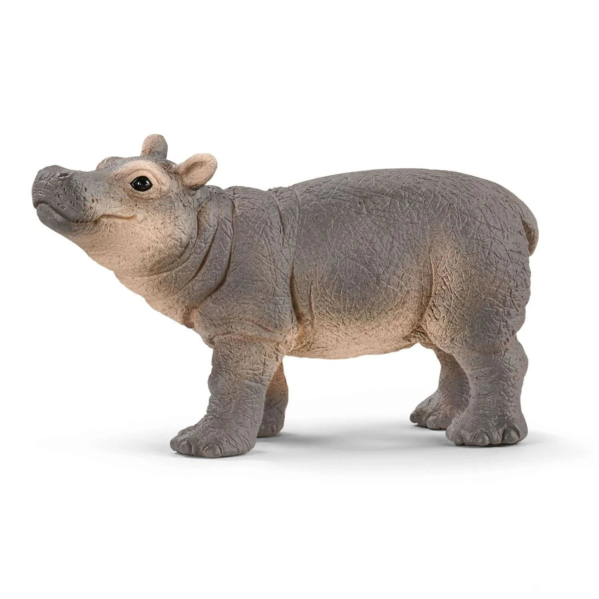 Toy hippo figure on a white background