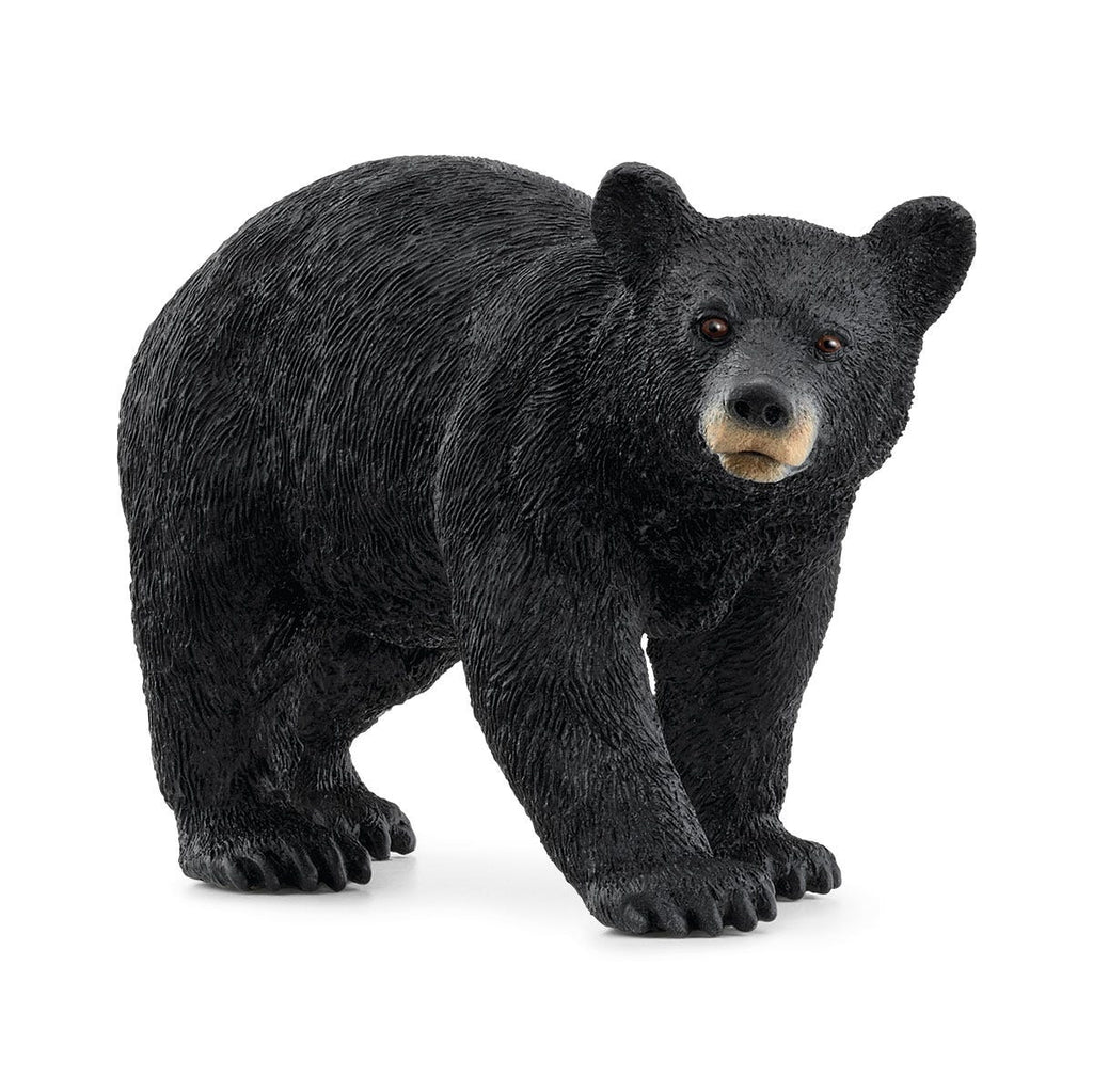 Black bear figurine on a white background